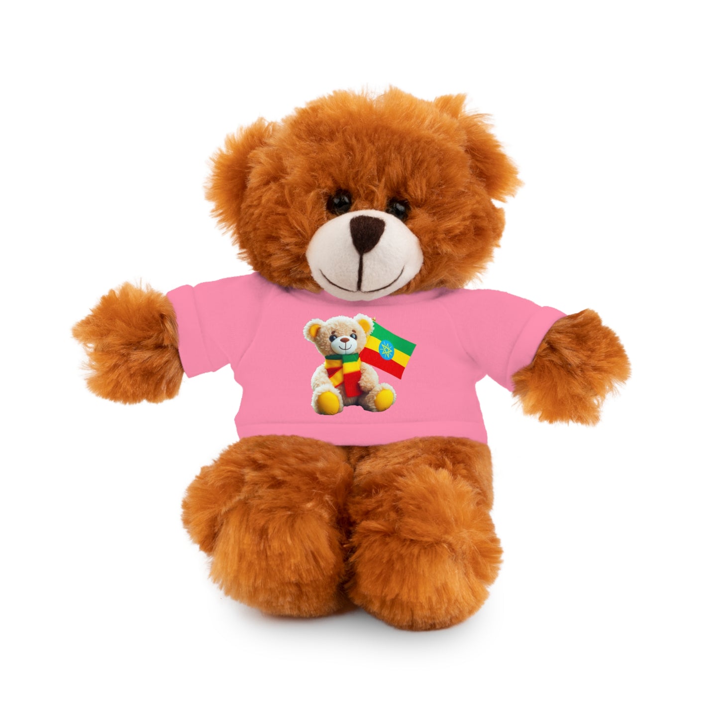 Stuffed Animals with T-shirt: Teddy Bear