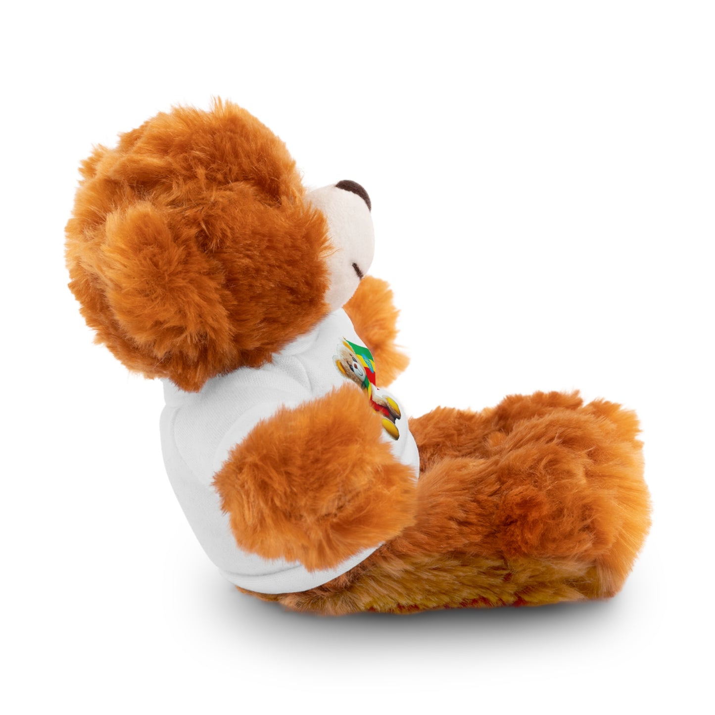 Stuffed Animals with T-shirt: Teddy Bear