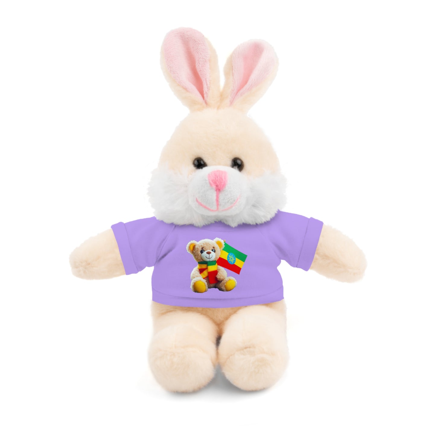 Stuffed Animals with T-shirt: Teddy Bear