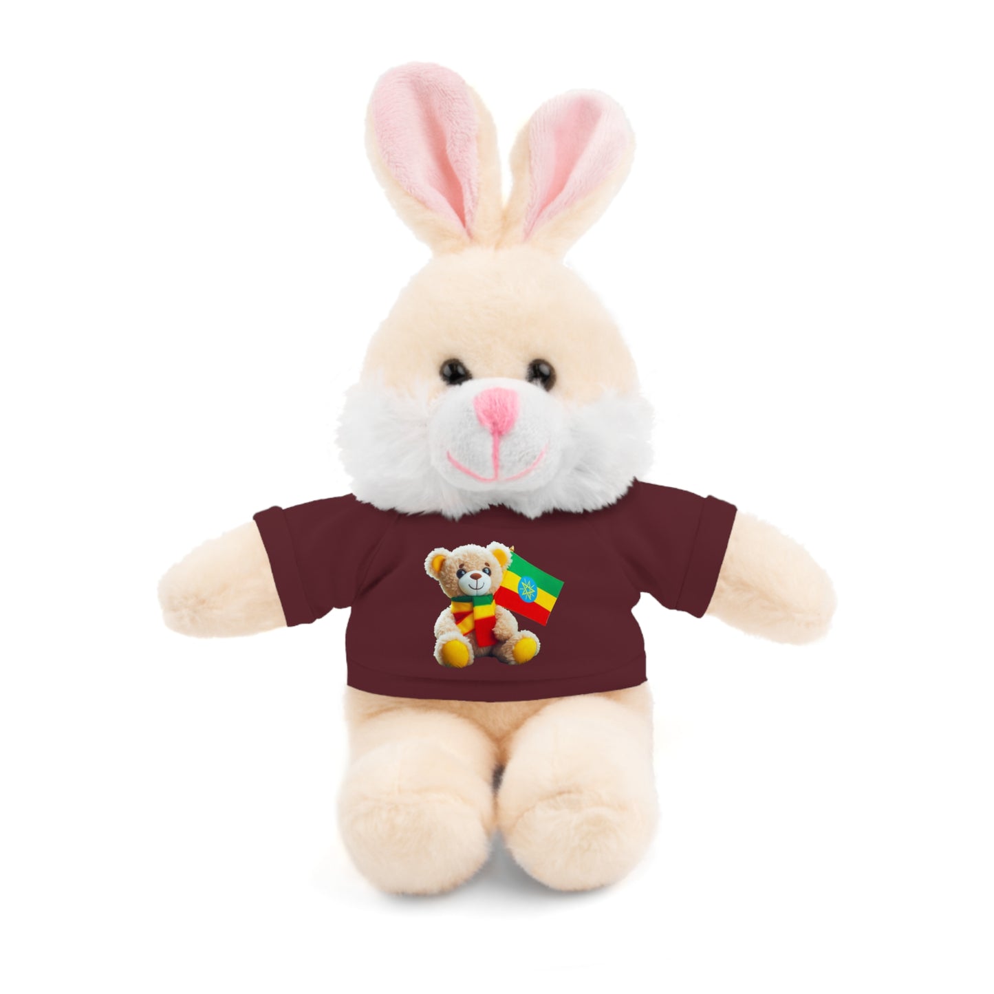 Stuffed Animals with T-shirt: Teddy Bear