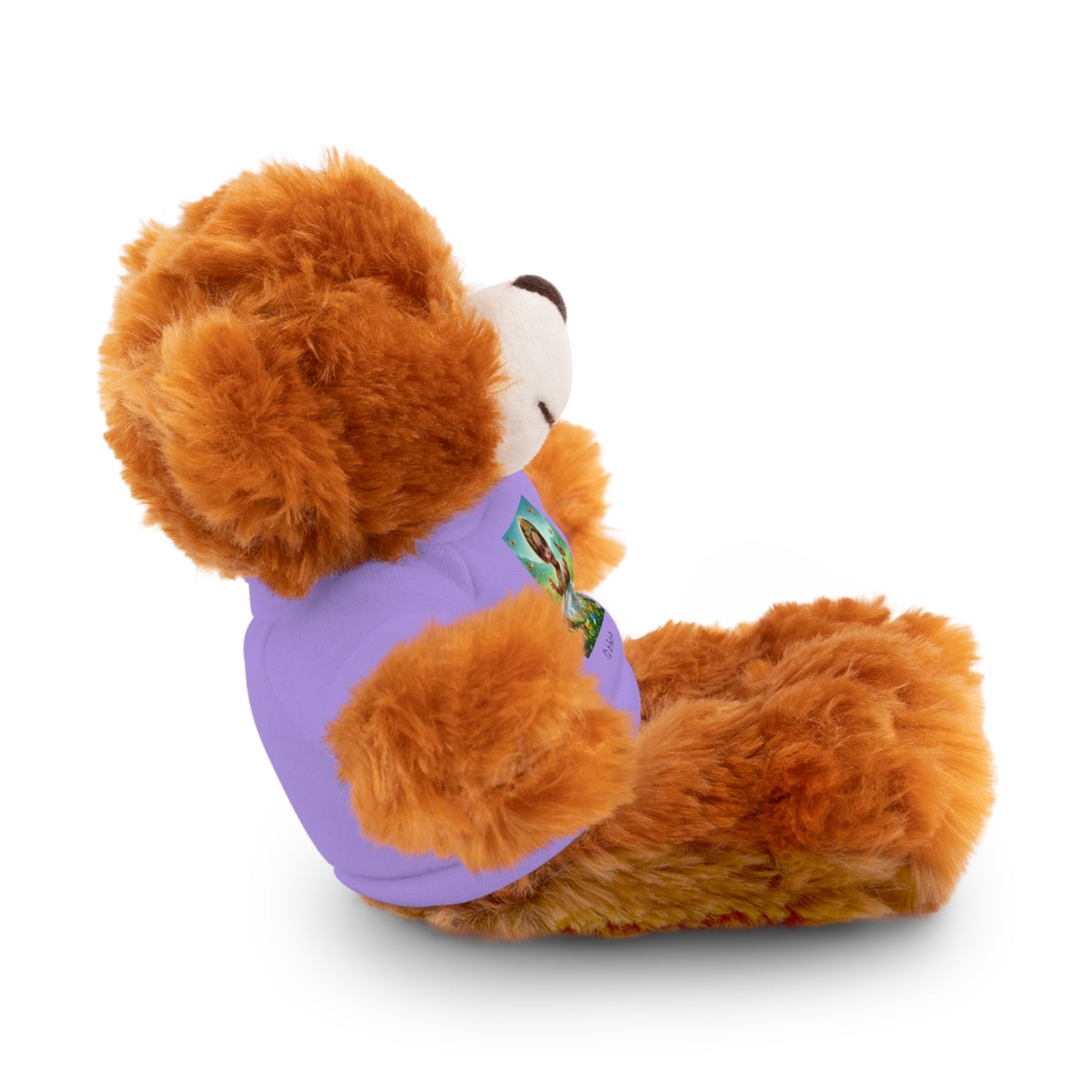 Stuffed Animals with T-Shirt: Princess