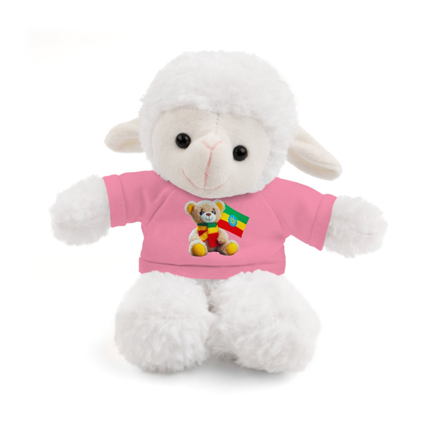 Stuffed Animals with T-shirt: Teddy Bear