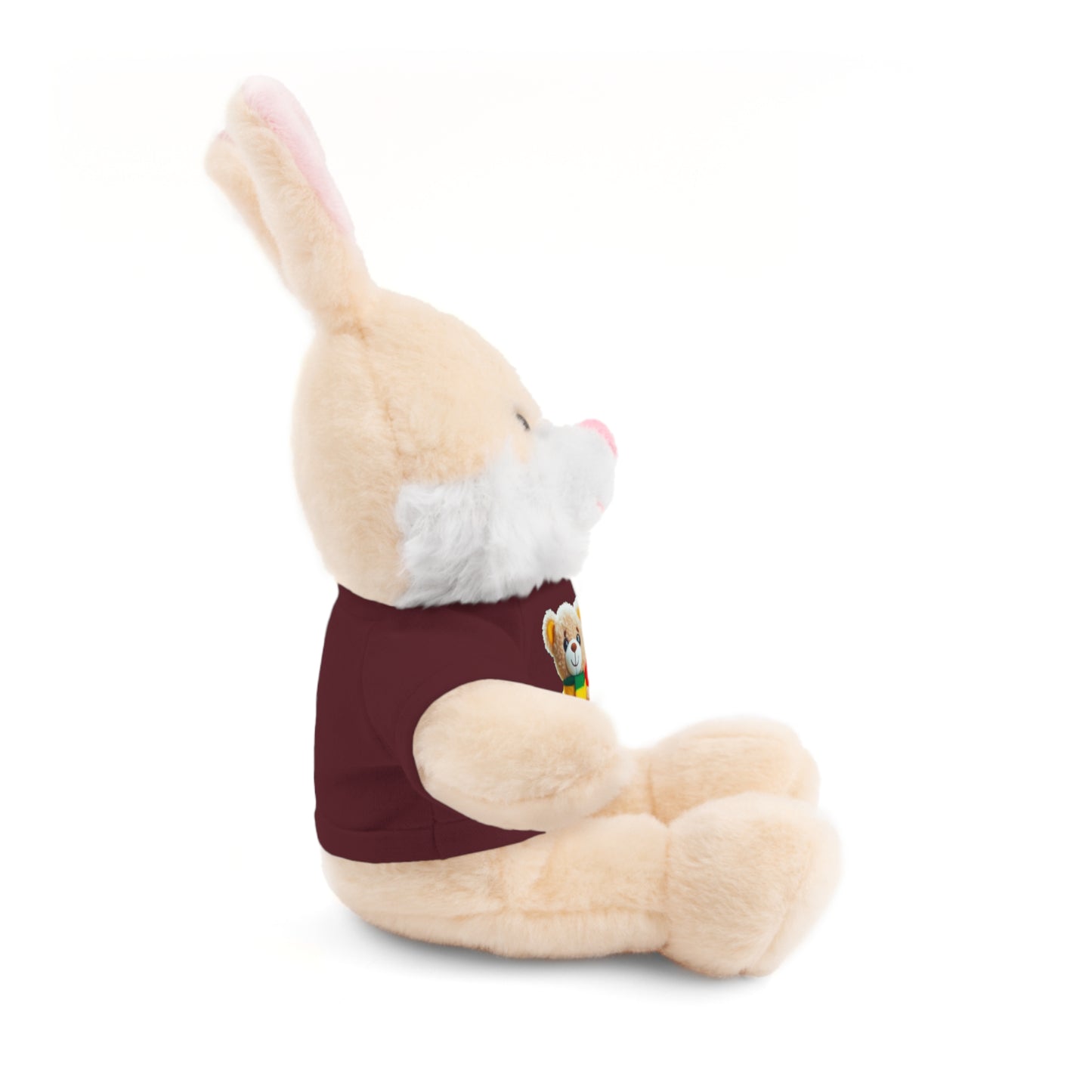 Stuffed Animals with T-shirt: Teddy Bear