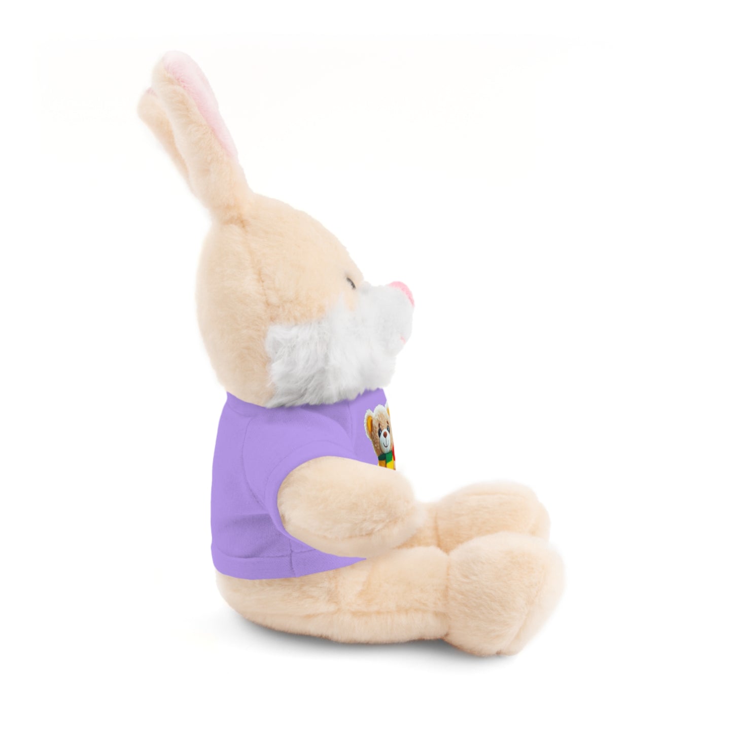 Stuffed Animals with T-shirt: Teddy Bear