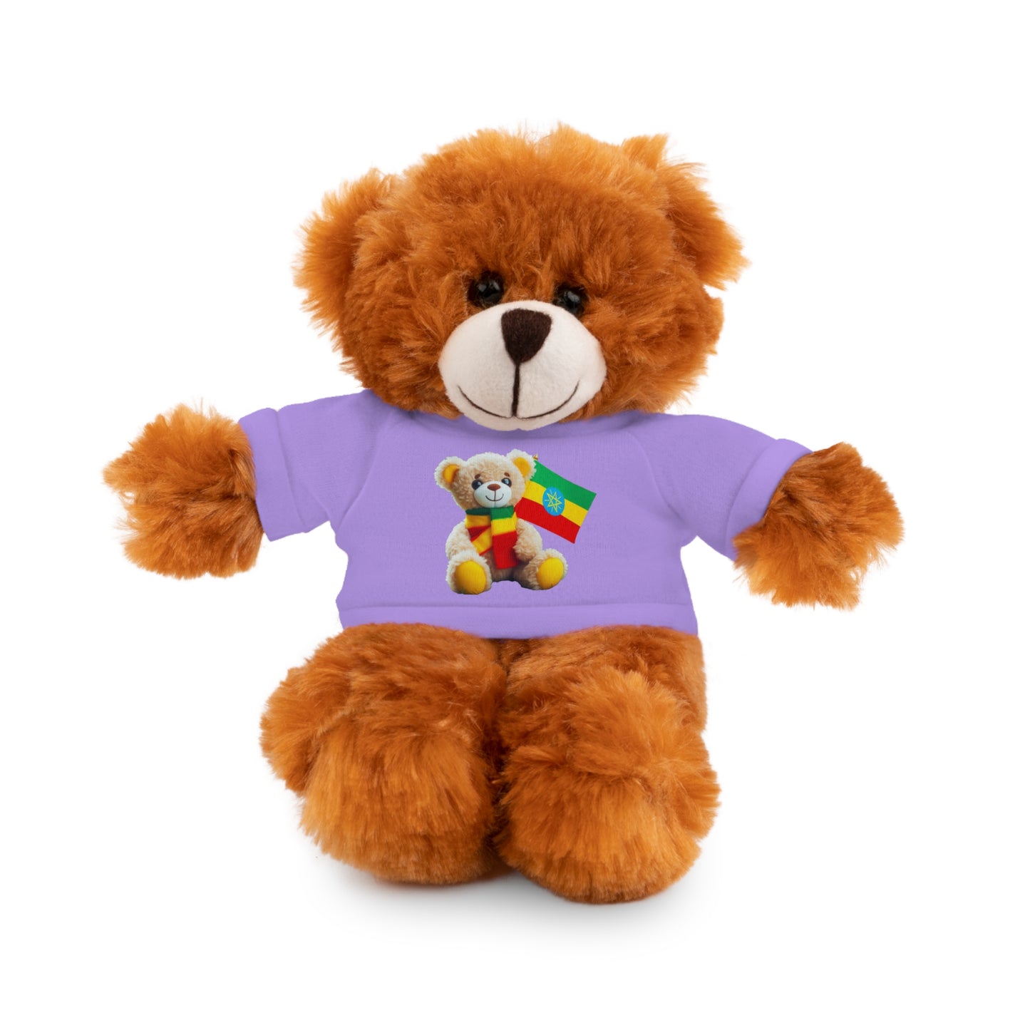 Stuffed Animals with T-shirt: Teddy Bear