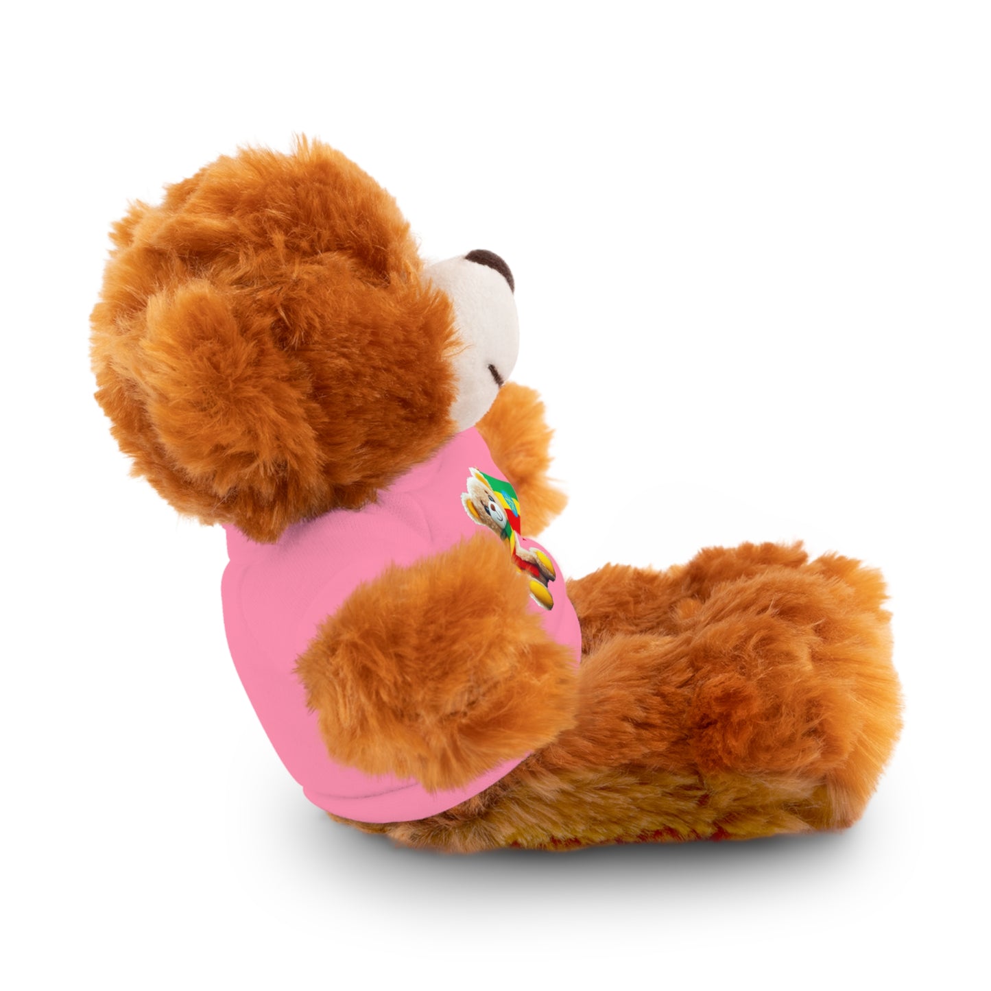 Stuffed Animals with T-shirt: Teddy Bear